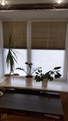 Шторы плиссе